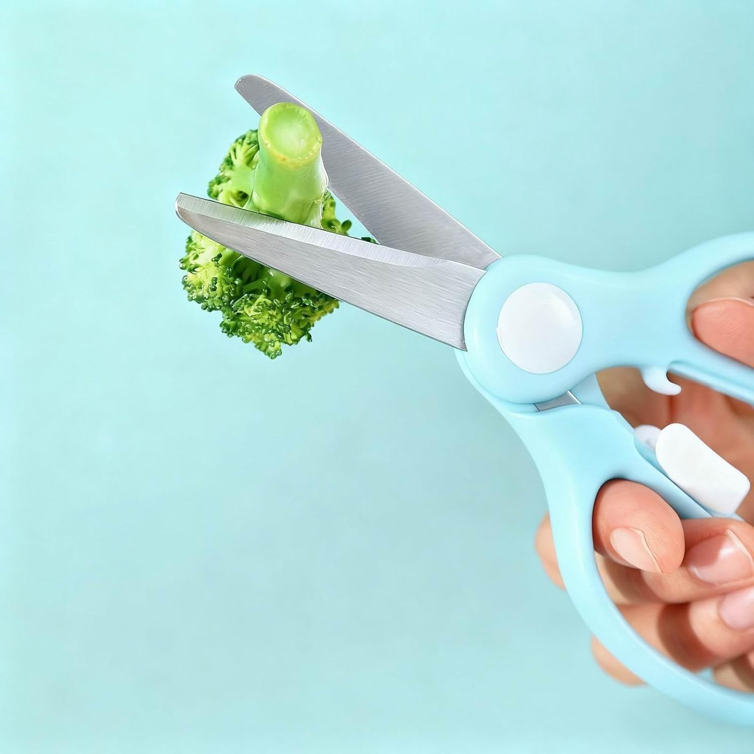 Versatile Stainless Steel Kitchen Scissors with Storage Box – Multi-Purpose Food Shears for Meat, Vegetables & Noodles – BLUE