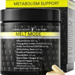 Formulation Factory Metabolism Booster - Melt Mode Natural Thermogenic Support with Glucomannan, L-Carnitine & Green Tea Extract - Advanced Satiety & Energy - 120 Capsules, 2 Month Supply